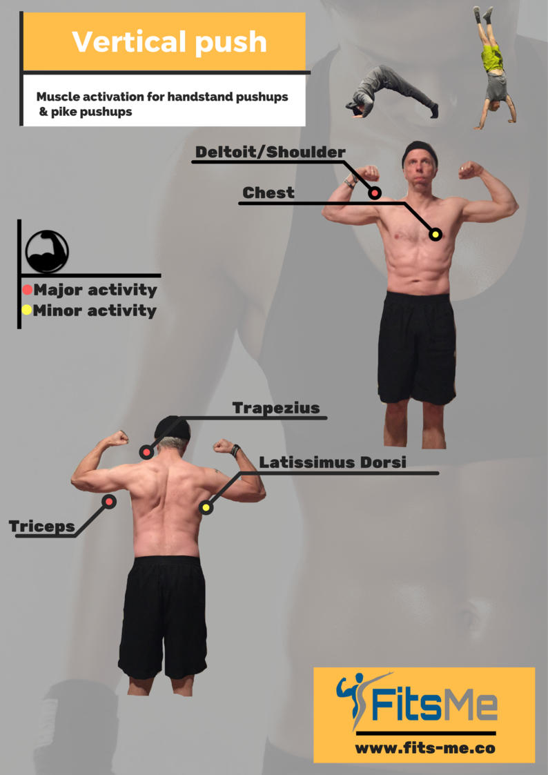 The bodyweight triceps exercises you need to know