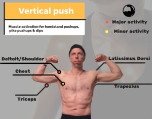 Shoulders & Biceps